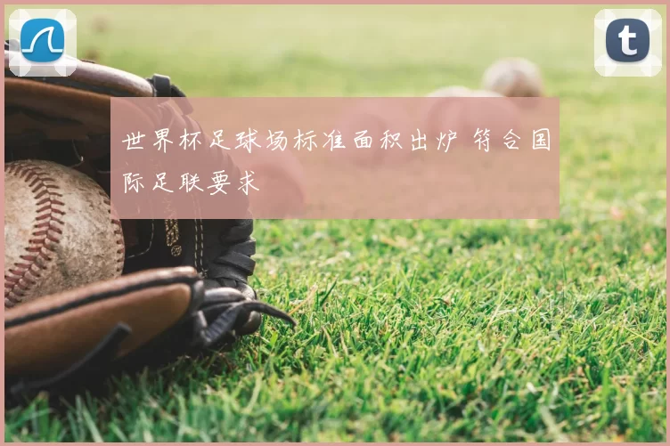 世界杯足球场标准面积出炉 符合国际足联要求