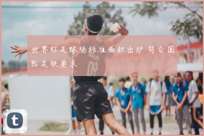 世界杯足球场标准面积出炉 符合国际足联要求