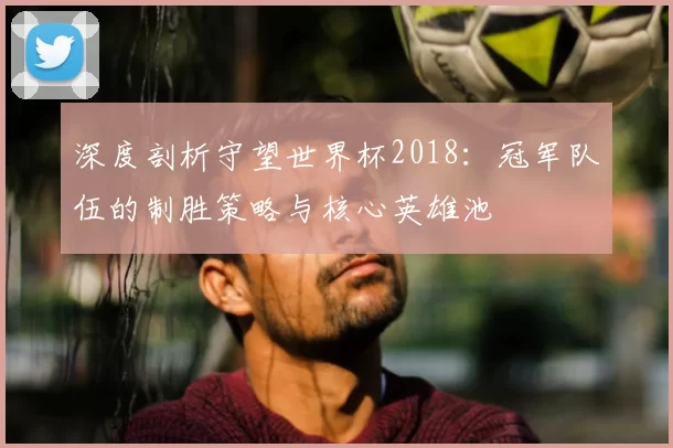 深度剖析守望世界杯2018:冠军队伍的制胜策略与核心英雄池