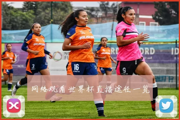网络观看世界杯直播途径一览