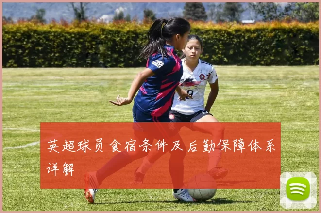 英超球员食宿条件及后勤保障体系详解