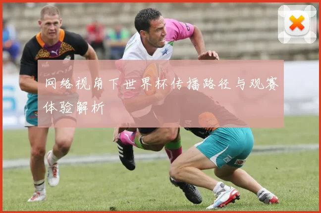 网络视角下世界杯传播路径与观赛体验解析