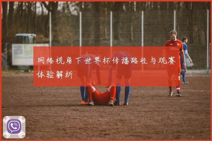 网络视角下世界杯传播路径与观赛体验解析