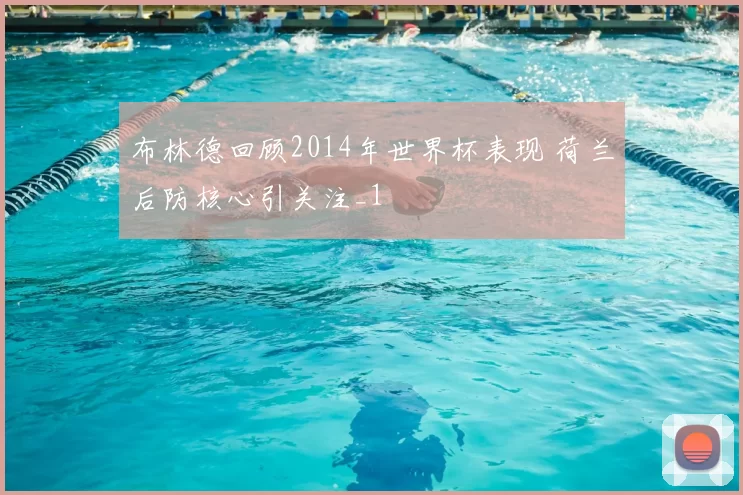 布林德回顾2014年世界杯表现 荷兰后防核心引关注_1