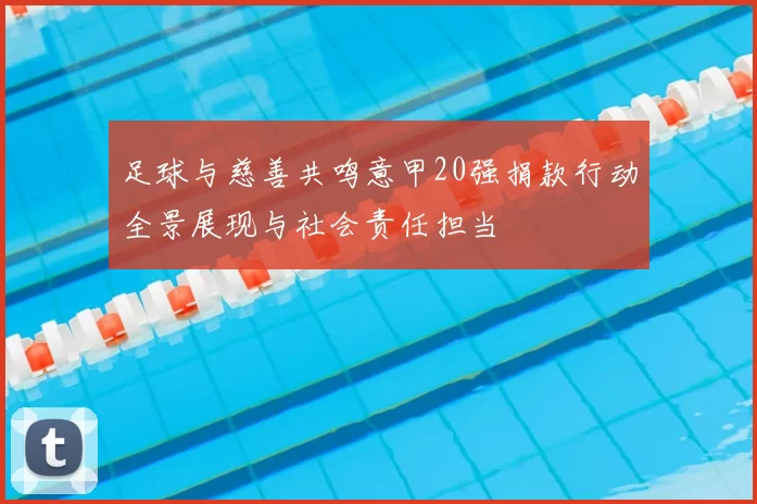 足球与慈善共鸣意甲20强捐款行动全景展现与社会责任担当